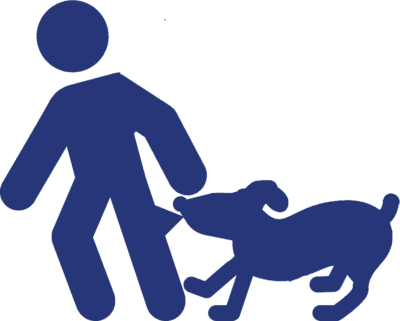 Dog Bites