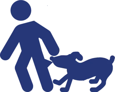 Dog Bites