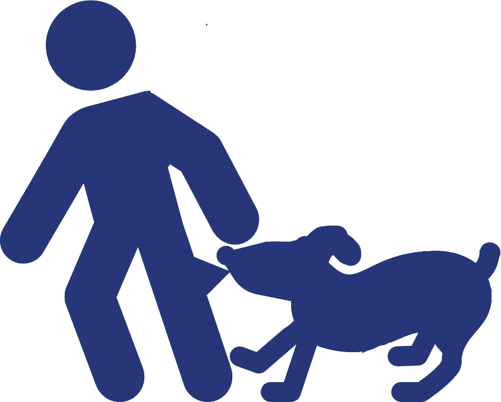 Dog Bites
