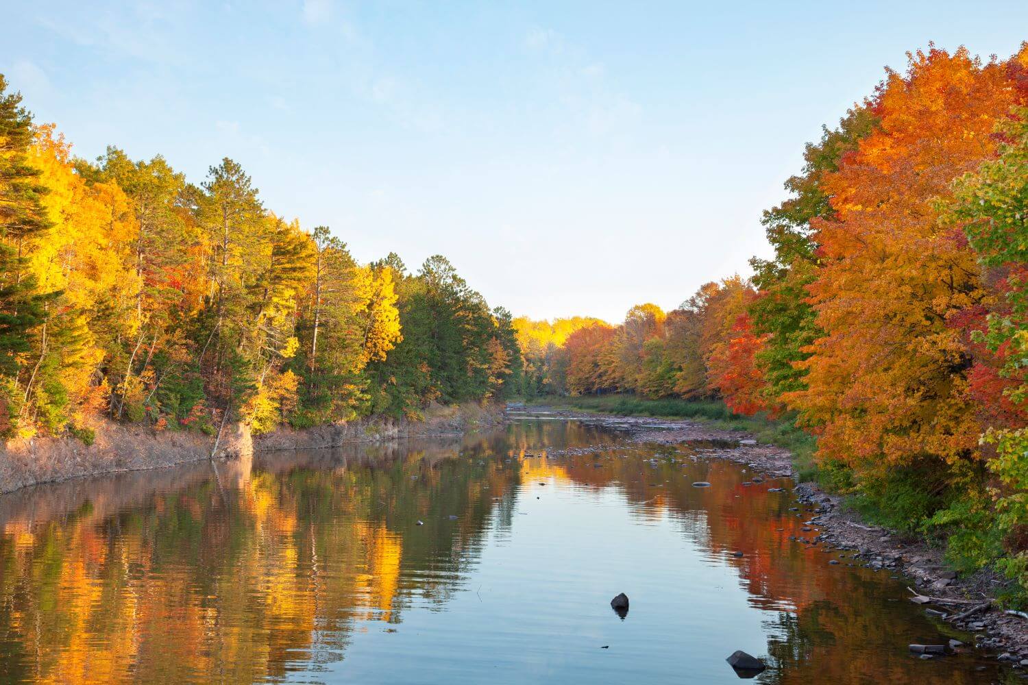 Colorful fall foliage along creek in West Michigan